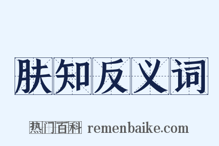 肤知反义词是什么意思的图片